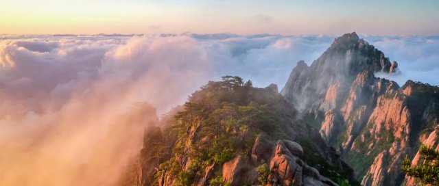 中国最著名的三座山中低等植物近500种只能在中国北方看到