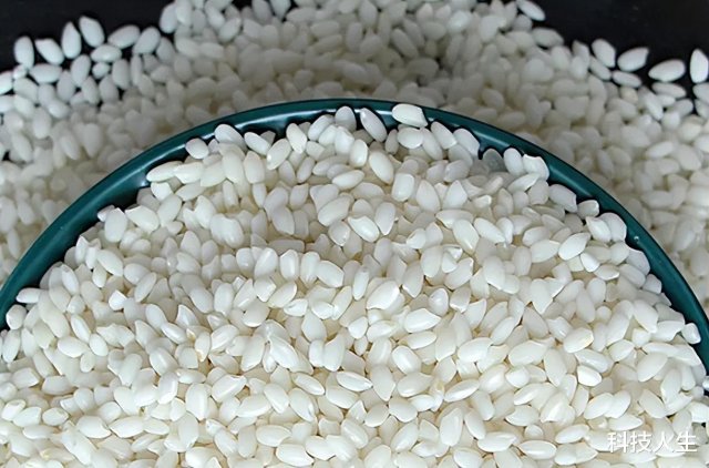十大公认最好吃的大米，十大公认最好吃的大米品牌