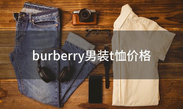 burberry男装t恤价格(burberry男服)