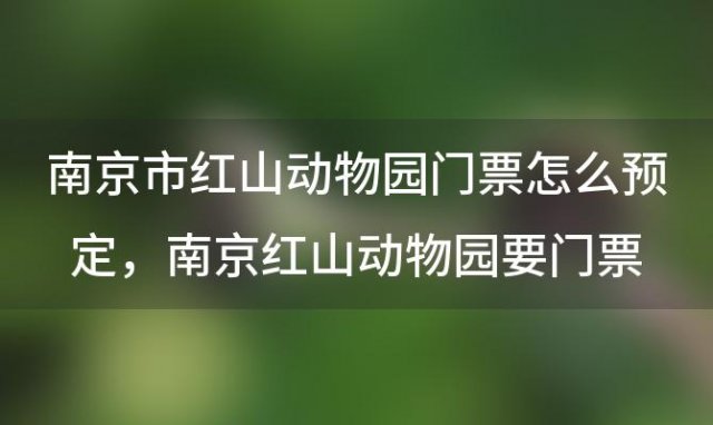 南京市红山动物园门票怎么预定 南京红山动物园要门票吗
