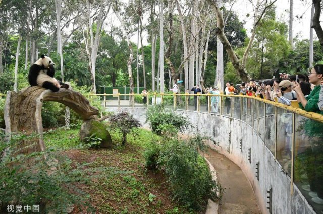 广州动物园游玩攻略捧腹「广州动物园游玩攻略2023」