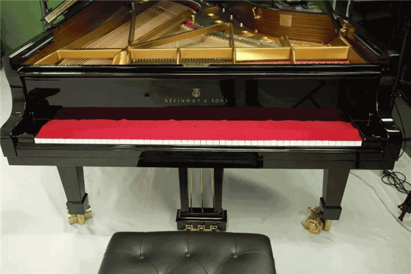 施坦威齐名的钢琴有什么牌子(世界钢琴排名前十位的品牌