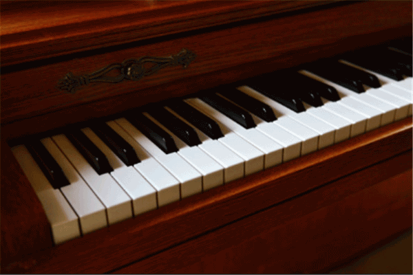 施坦威齐名的钢琴有什么牌子(世界钢琴排名前十位的品牌