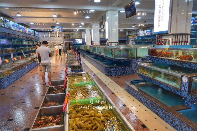 郑州海鲜市场在哪里，郑州海鲜批发市场哪里便宜