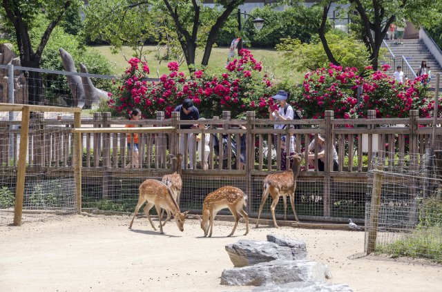 宁波野生动物园和雅戈尔动物园 宁波野生动物园游玩攻略