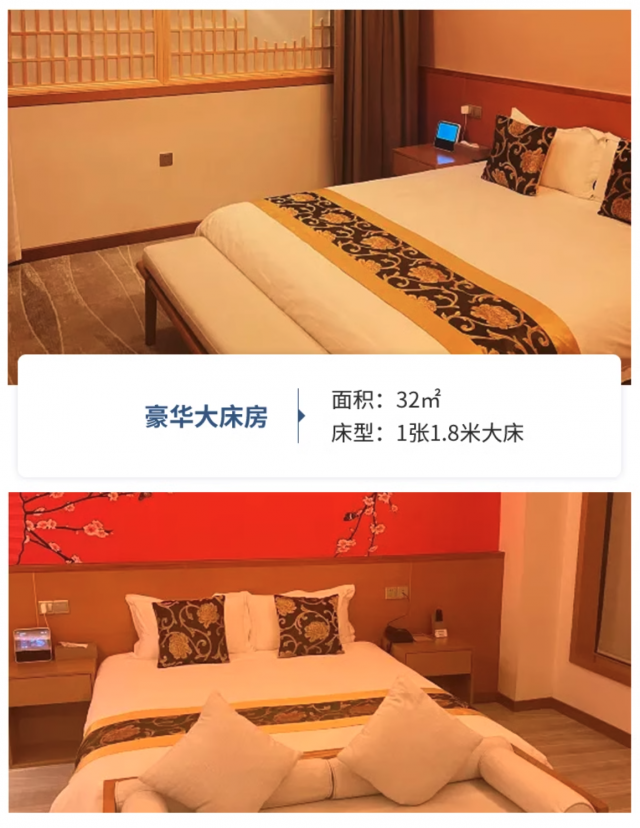 上海齐乐汤温泉酒店高级/豪华房1