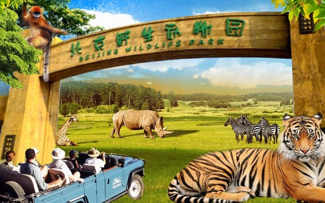 北京野生动物园门票价格(北京野生动物园门票价格攻略)