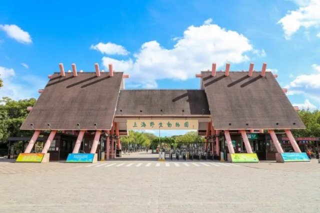 上海野生动物园攻略2023「2023上海野生动物园」