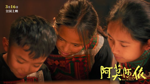 《阿莫阿依》预告：彝族少女复学追梦，勇敢挑战命运的传奇故事