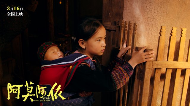 《阿莫阿依》预告：彝族少女复学追梦，勇敢挑战命运的传奇故事