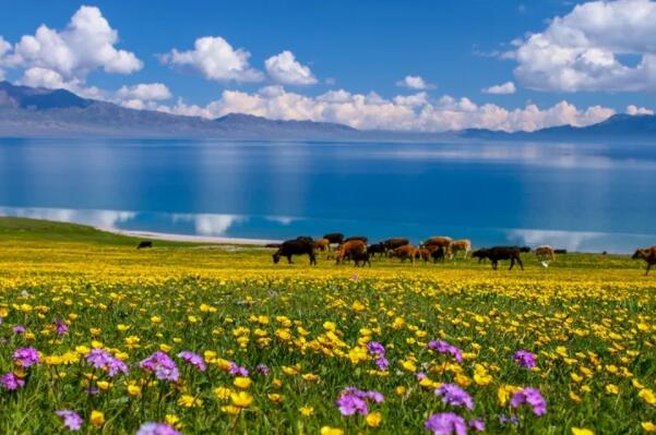 新疆十大最值得去的旅游景点