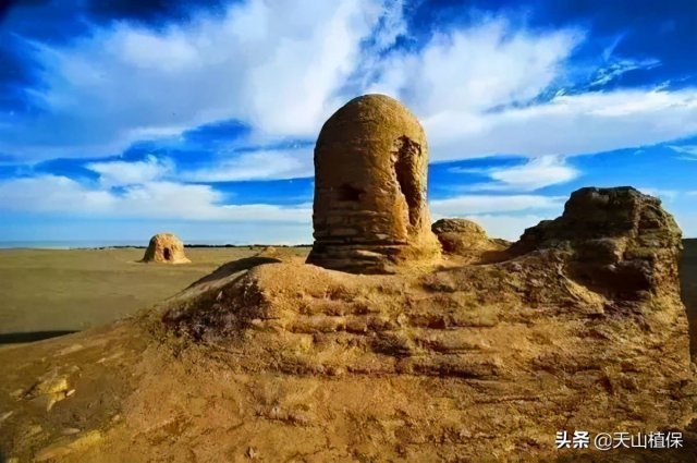 新疆若羌县旅游景点推荐「新疆若羌县美食有哪些」