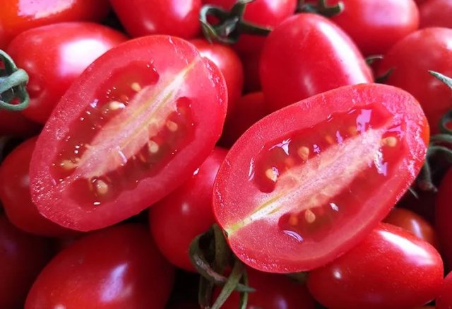 揭秘世界最小番茄：千禧果，营养丰富的迷你宝藏