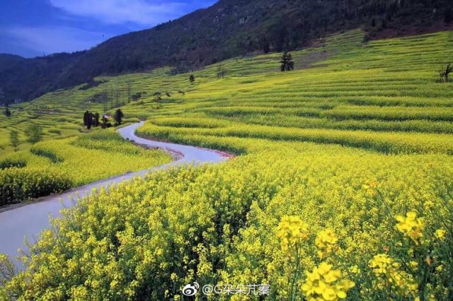 中国春季十大旅游景点介绍，中国春季十大旅游景点排名