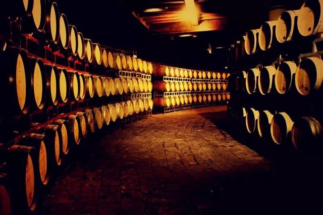 世界上最大的地下酒窖是 世界上最大的地下酒窖在哪