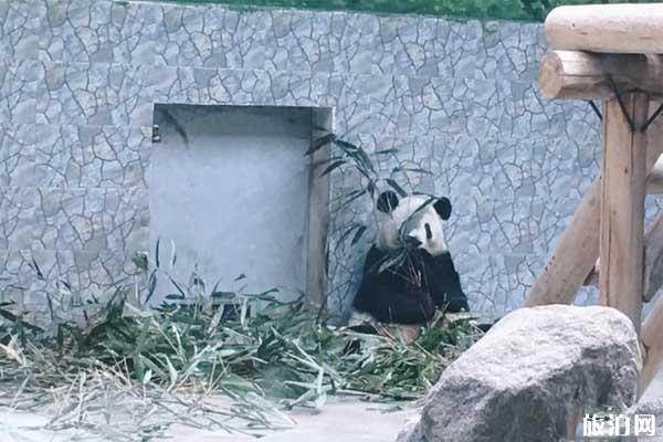 西安秦岭野生动物园好玩吗「西安秦岭野生动物园」