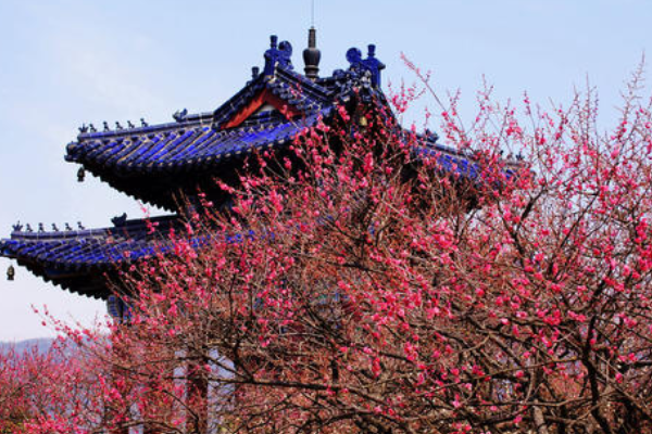 江苏冬季旅游景点推荐国内，江苏冬季景点