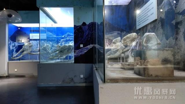 优惠网优惠活动推荐 海螺沟冰川博物馆免费开放啦